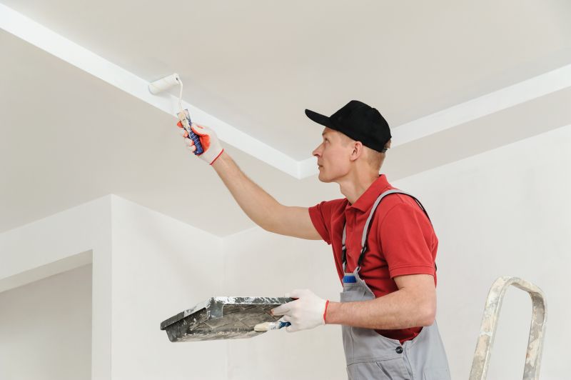 Professional Painting in Rosemount